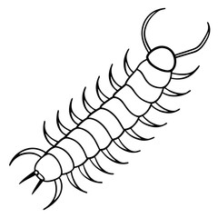 Single Line Centipede Illustration Vector