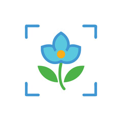 flower macro flower photography on white background for web and graphic design