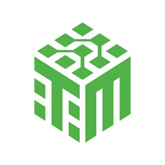 Modern Abstract TM Letter Logo with 3D Cube and Green Tech Network