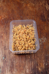 Watercress or cress salad microgreen seeds starting to germinate on wet linen substrate, hydroponic mat in plastic container on wooden background