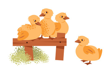 Flat vector illustration of a chickens on the fence. Playful characters in a rural environment.
