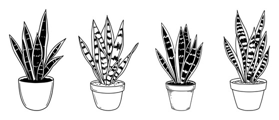 snake plant potted set black and white line art