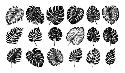tropical leaves silhouette set black vector for laser cutting and print © Mago