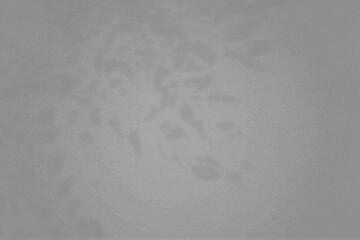 Natural light casts a shadow from a willow branch. Top view of the shadow of a plant on a textured gray background.