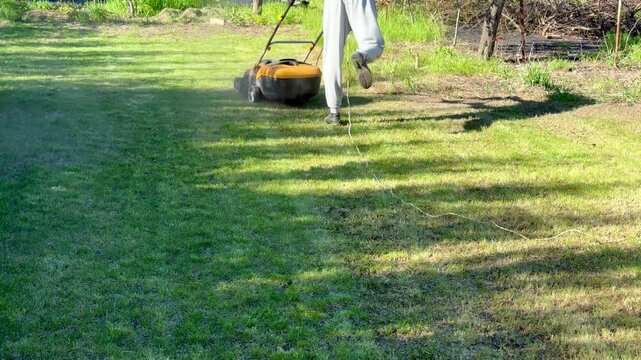 Lawn aeration or scarification, spring gardening work