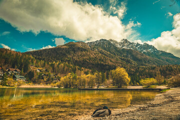 A tranquil scene from Kranjska Gora, Slovenia, featuring a crystal clear turquoise lake in the foreground.