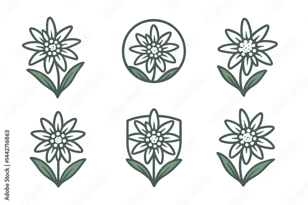 Poster floral design collection featuring various vector interpretations of a flower with leaves and petals