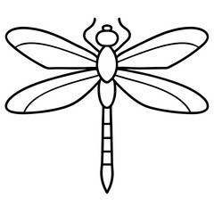 Sleek Dragonfly Line Art Vector