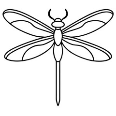 Sleek Dragonfly Line Art Vector