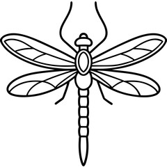 Sleek Dragonfly Line Art Vector