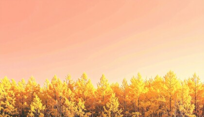 Fototapeta premium Autumn colors transform landscape in serene forest panorama golden hour nature photography captivating viewpoint tranquil atmosphere