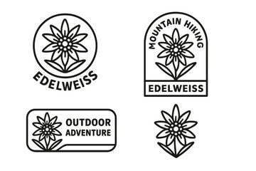 Vector illustration of edelweiss flower designs for mountain hiking and outdoor adventure themes