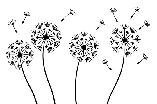 Elegant dandelion seeds dispersing in a soft breeze across a bright background during a calm spring day