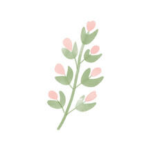 pink flower isolated on white background