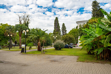 A green park with tall trees and sprawling palm trees in a beautiful resort town. A warm autumn day.