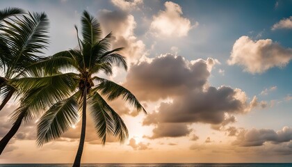 Tropical Sunset with Palm Trees
