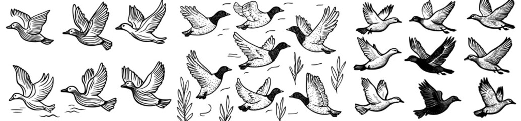 A compilation of bird outlines in diverse flight positions, perfect for nature, wildlife, or bird-themed designs