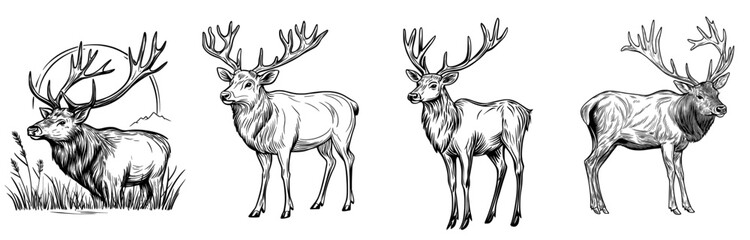 A dramatic outline of a moose highlighting its impressive antlers, perfect for projects centered around nature and wildlife