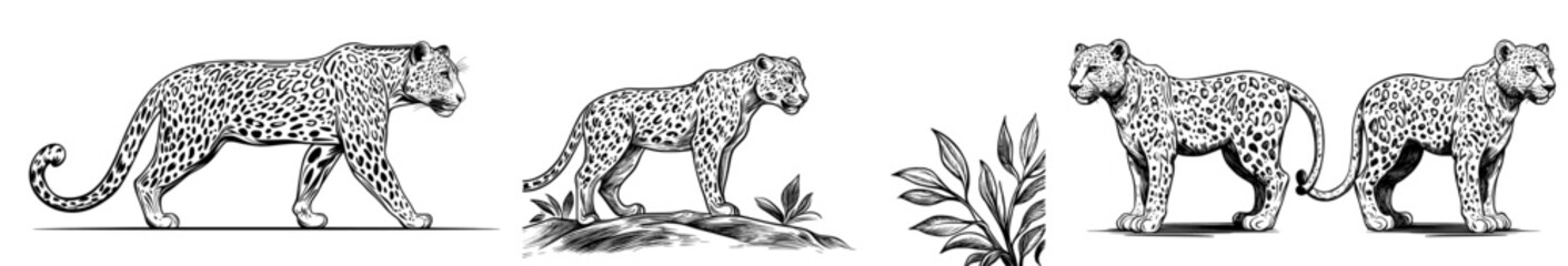 Illustration of a cheetah in black and white with a spotted silhouette pattern