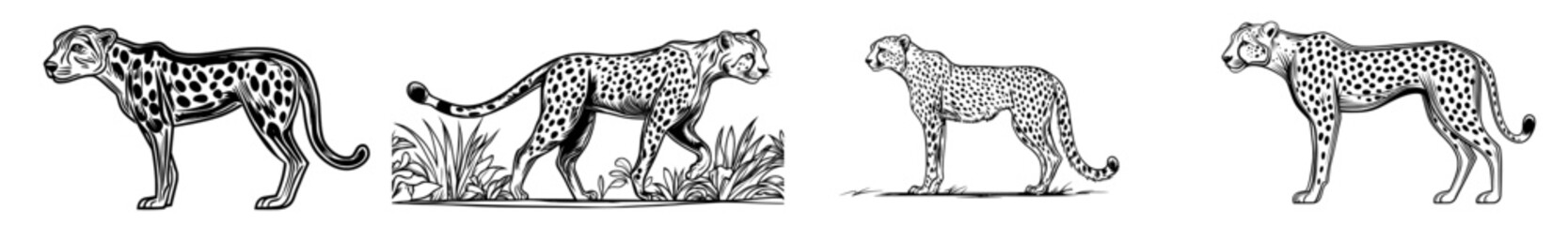 A cheetah's silhouette is depicted with spots in a black and white illustration