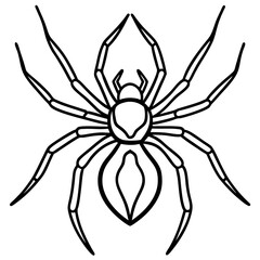 Sleek Black Widow Spider Vector in One Line
