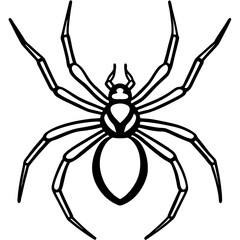Sleek Black Widow Spider Vector in One Line