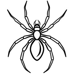 Sleek Black Widow Spider Vector in One Line