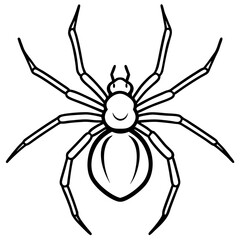 Sleek Black Widow Spider Vector in One Line