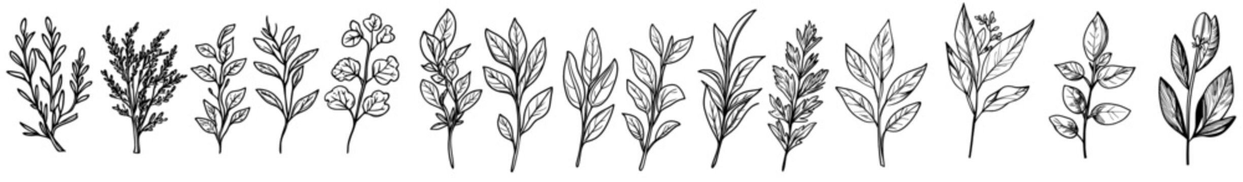 Retro woodcut engraved farm food icons of black stamp vegetables, featuring organic and healthy products such as tomato, onion, garlic, celery, and pepper, in a modern vegetable sketch collection