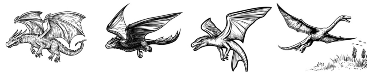 A dark dragon silhouette with outstretched wings represents fantasy and power