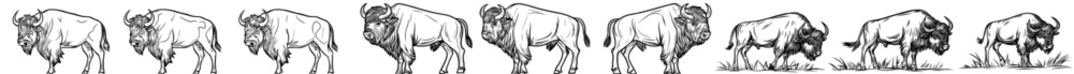 Three buffaloes lined up are shown as silhouettes, representing wildlife icons