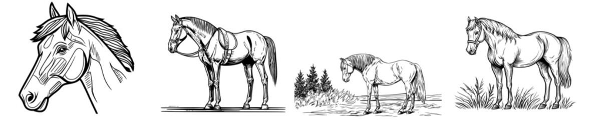 Silhouette of a black horse in a stylized pose with a dynamic mane and tail