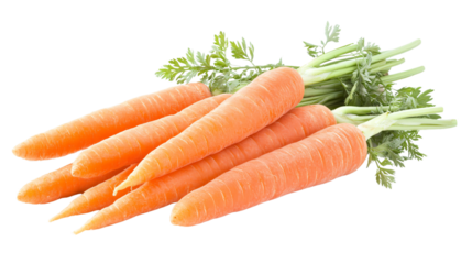 Fresh Carrots Isolated White Background Professional Stock Photo