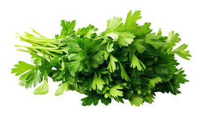 Fototapeta premium Fresh Green Parsley on White Background for Culinary Concepts