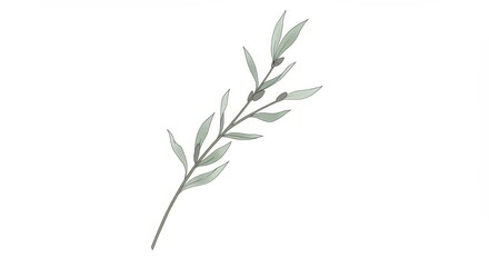 Fototapeta premium Simple white flower sprig in clean minimal style