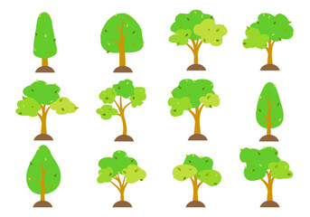 Cartoon trees set isolated on white background. Simple modern style. Cute green plants, forest, vector flat illustration