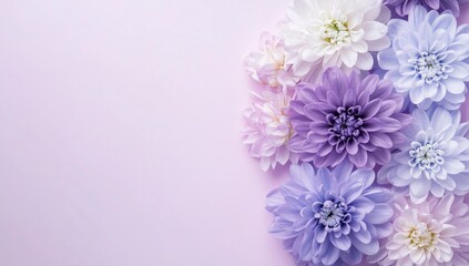 Fototapeta premium Delicate Pastel Flowers