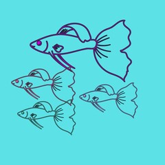 fish on a blue background