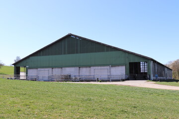 Kuhstall auf dem Bauernhof.