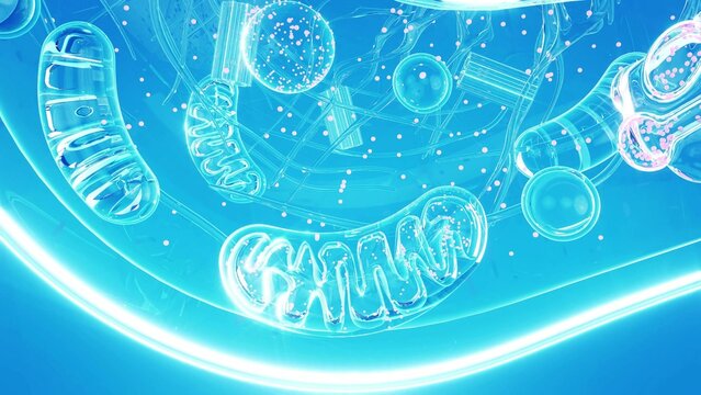 cell_blue_light_mitochondria_zoom