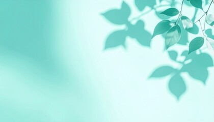 Obraz premium Nature's tranquility soft green leaves and shadows indoor space abstract photography calm environment close-up perspective