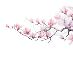 Fototapeta premium pink cherry blossom