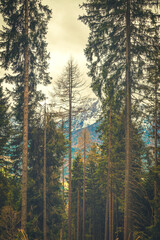 Spectacular Mountain Landscape of Kranjska Gora, Slovenia – Snow-Capped Peaks, Colorful Autumn Forests, and Tranquil Atmosphere
