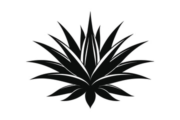 Agave plant vector, agave symbol, Cactus vector icon on white background