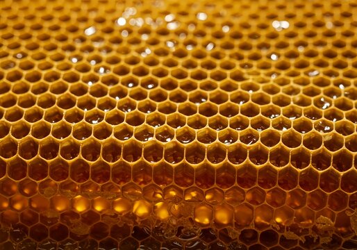 A close-up view of golden honeycomb with many hexagonal cells filled with liquid honey.