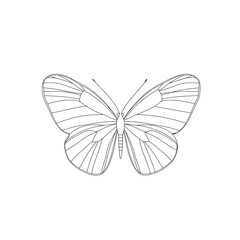 Obraz premium Delicate black and white outline of a butterfly icon symbolizing nature and transformation.