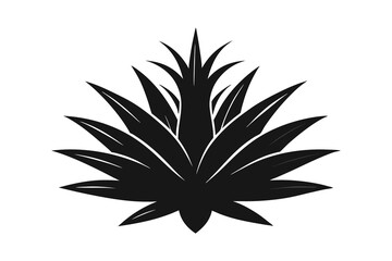 Agave plant vector, agave symbol, Cactus vector icon on white background