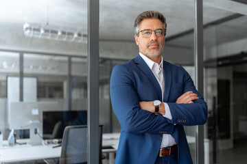 Executive confident senior business man specialist looking at camera. Portrait of mature...