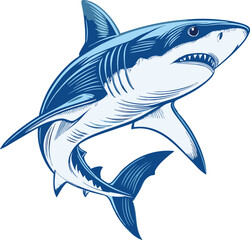 shark vector art illustration white background