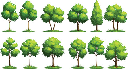 Fototapeta premium forest, background, group, concept, garden, environment, growth, field, eco, ecology, botany, foliage, decoration, ecosystem, branch, deciduous, botanical, element, bonsai, collection, big, cutout, fi